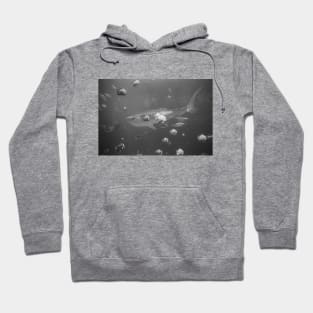 Whale Shark Hoodie